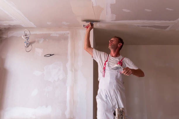 Best Drywall for Remodeling  in Osage Beach, MO